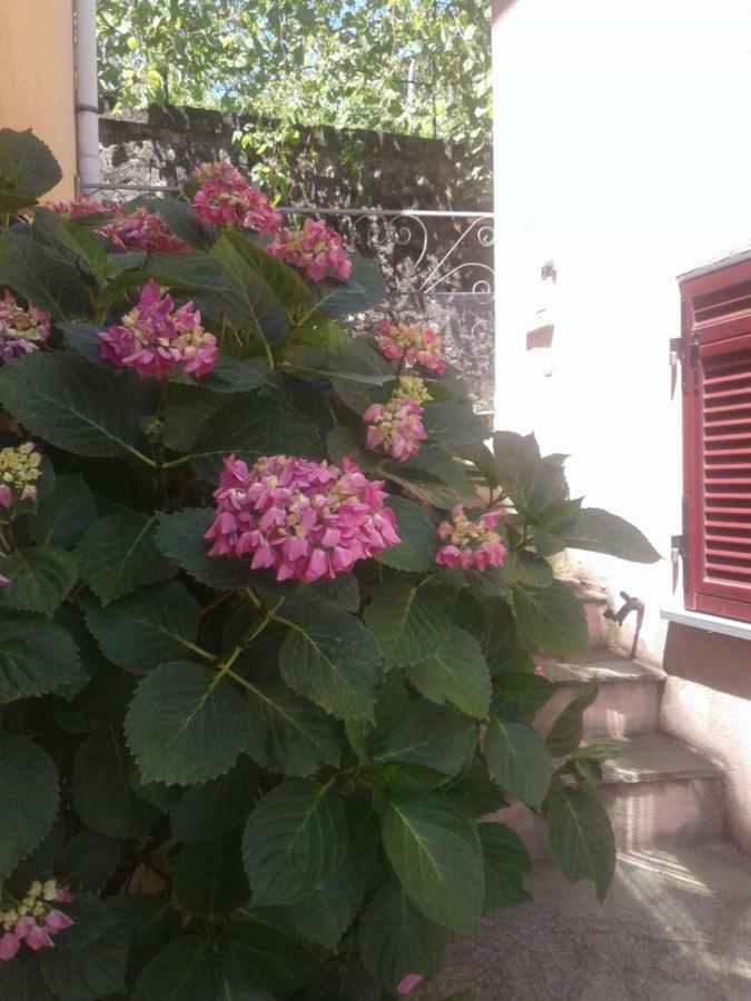 Monolocale Per Coppia Apartment Carrodano Inferiore Bagian luar foto