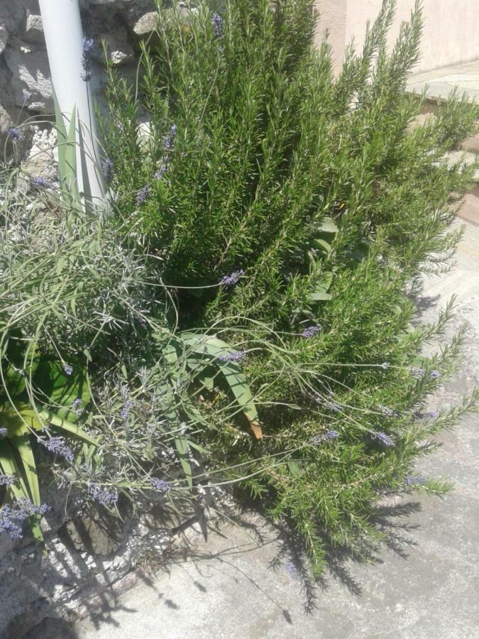 Monolocale Per Coppia Apartment Carrodano Inferiore Bagian luar foto